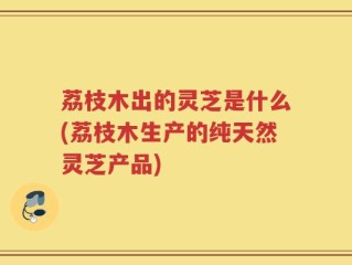 荔枝木出的灵芝是什么(荔枝木生产的纯天然灵芝产品)