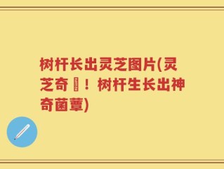 树杆长出灵芝图片(灵芝奇蹟！树杆生长出神奇菌蕈)
