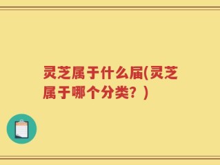 灵芝属于什么届(灵芝属于哪个分类？)