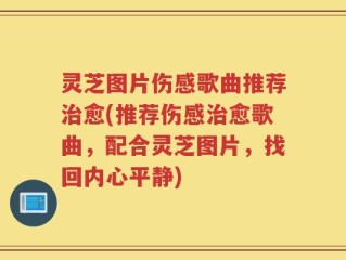灵芝图片伤感歌曲推荐治愈(推荐伤感治愈歌曲，配合灵芝图片，找回内心平静)