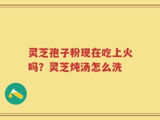 灵芝孢子粉现在吃上火吗？灵芝炖汤怎么洗