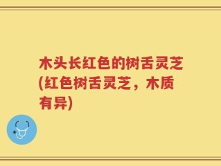 木头长红色的树舌灵芝(红色树舌灵芝，木质有异)