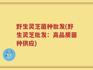 野生灵芝菌种批发(野生灵芝批发：高品质菌种供应)