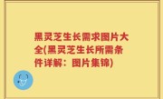 黑灵芝生长需求图片大全(黑灵芝生长所需条件详解：图片集锦)
