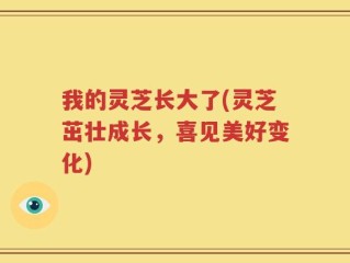 我的灵芝长大了(灵芝茁壮成长，喜见美好变化)