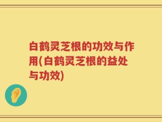 白鹤灵芝根的功效与作用(白鹤灵芝根的益处与功效)