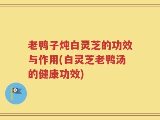 老鸭子炖白灵芝的功效与作用(白灵芝老鸭汤的健康功效)