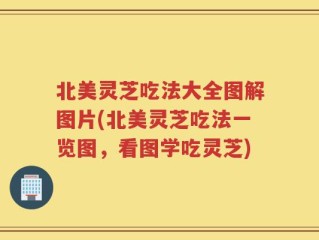 北美灵芝吃法大全图解图片(北美灵芝吃法一览图，看图学吃灵芝)