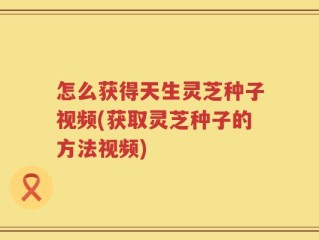 怎么获得天生灵芝种子视频(获取灵芝种子的方法视频)