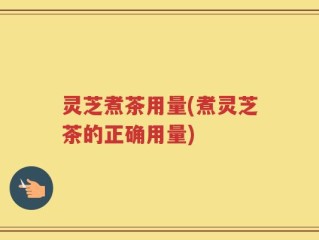 灵芝煮茶用量(煮灵芝茶的正确用量)