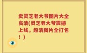 卖灵芝老大爷图片大全高清(灵芝老大爷震撼上线，超清图片全打包！)