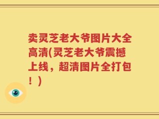 卖灵芝老大爷图片大全高清(灵芝老大爷震撼上线，超清图片全打包！)