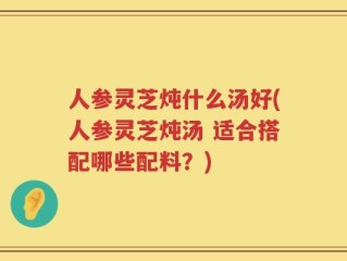 人参灵芝炖什么汤好(人参灵芝炖汤 适合搭配哪些配料？)