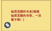 仙灵芝图片大全(精美仙灵芝图片分享，一次看个够！)