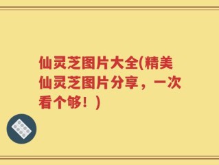 仙灵芝图片大全(精美仙灵芝图片分享，一次看个够！)