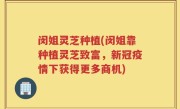 闵姐灵芝种植(闵姐靠种植灵芝致富，新冠疫情下获得更多商机)