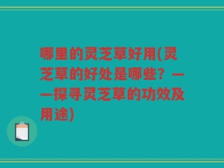 哪里的灵芝草好用(灵芝草的好处是哪些？——探寻灵芝草的功效及用途)