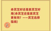 赤灵芝好还是紫灵芝好用(赤灵芝还是紫灵芝更有效？——灵芝选择指南)