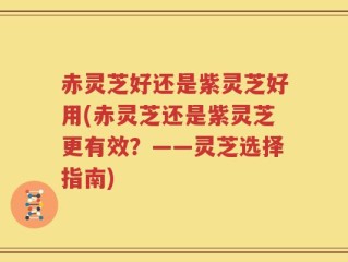 赤灵芝好还是紫灵芝好用(赤灵芝还是紫灵芝更有效？——灵芝选择指南)