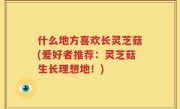 什么地方喜欢长灵芝菇(爱好者推荐：灵芝菇生长理想地！)