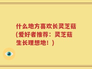 什么地方喜欢长灵芝菇(爱好者推荐：灵芝菇生长理想地！)