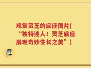 观赏灵芝的底座图片(“独特迷人！灵芝底座展现奇妙生长之美”)
