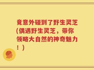 竟意外碰到了野生灵芝(偶遇野生灵芝，带你领略大自然的神奇魅力！)
