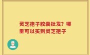 灵芝孢子胶囊批发？哪里可以买到灵芝孢子