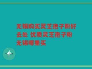 无锡购买灵芝孢子粉好去处 优质灵芝孢子粉无锡哪里买