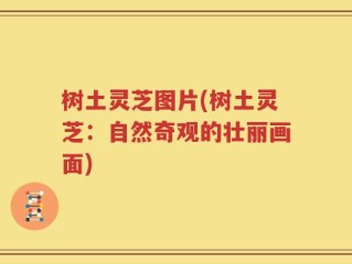 树土灵芝图片(树土灵芝：自然奇观的壮丽画面)