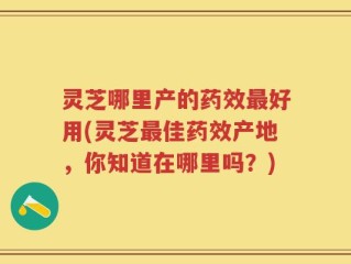 灵芝哪里产的药效最好用(灵芝最佳药效产地，你知道在哪里吗？)