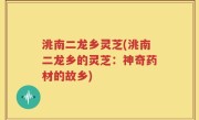 洮南二龙乡灵芝(洮南二龙乡的灵芝：神奇药材的故乡)