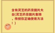 含有灵芝的药膏图片大全(灵芝药膏图片集锦，传授你正确使用方法！)