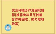 灵芝种植合作及回收推荐(推荐参与灵芝种植合作并回收，助力增收致富)