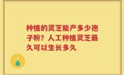 种植的灵芝能产多少孢子粉？人工种植灵芝最久可以生长多久