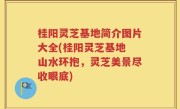桂阳灵芝基地简介图片大全(桂阳灵芝基地 山水环抱，灵芝美景尽收眼底)
