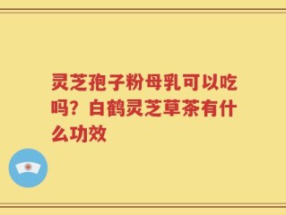 灵芝孢子粉母乳可以吃吗？白鹤灵芝草茶有什么功效