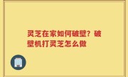 灵芝在家如何破壁？破壁机打灵芝怎么做