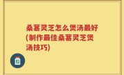 桑葚灵芝怎么煲汤最好(制作最佳桑葚灵芝煲汤技巧)