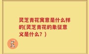 灵芝青花寓意是什么样的(灵芝青花的象征意义是什么?)