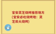 宝安灵芝烧烤推荐地方(宝安必吃烧烤地：灵芝炭火烧烤)
