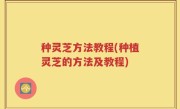 种灵芝方法教程(种植灵芝的方法及教程)