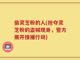 偷灵芝粉的人(抢夺灵芝粉的盗贼现身，警方展开搜捕行动)
