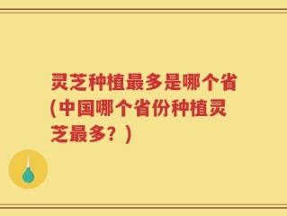 灵芝种植最多是哪个省(中国哪个省份种植灵芝最多？)