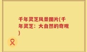 千年灵芝风景图片(千年灵芝：大自然的奇观)