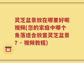 灵芝盆景放在哪里好呢视频(您的家庭中哪个角落适合放置灵芝盆景？- 视频教程)