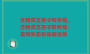 迁西灵芝孢子粉养殖_迁西灵芝孢子粉养殖：高效生态农业新选择