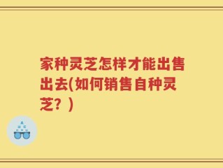 家种灵芝怎样才能出售出去(如何销售自种灵芝？)