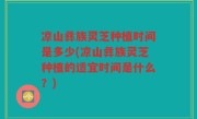凉山彝族灵芝种植时间是多少(凉山彝族灵芝种植的适宜时间是什么？)