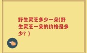 野生灵芝多少一朵(野生灵芝一朵的价格是多少？)